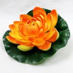    M.Lotus Orange