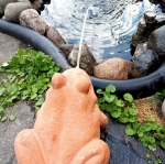 Декоративная фигура фонтанная Лягушка с насосом